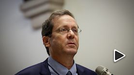 צפו בהרצוג, צילום: אהרון קרון פלאש 90